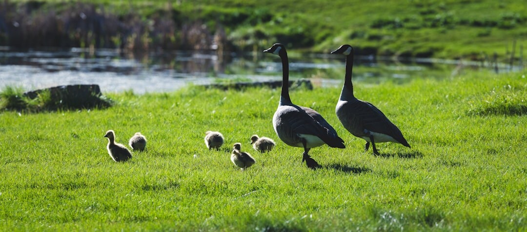 family in rural setting