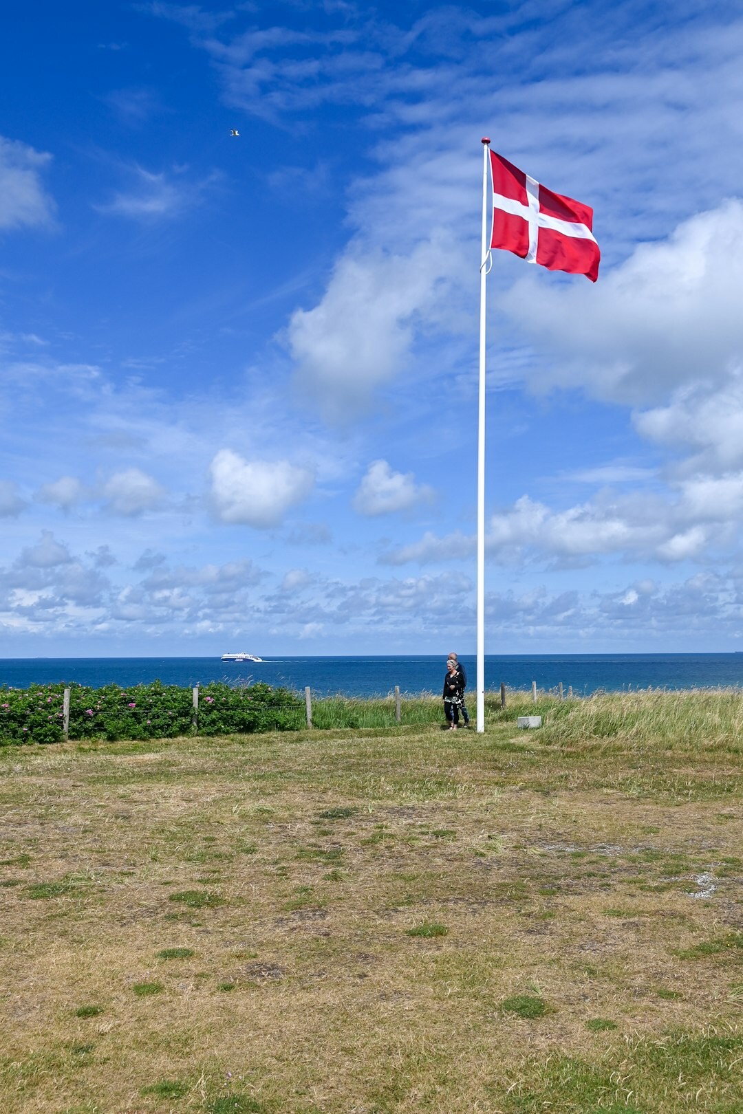 community portraits in denmark