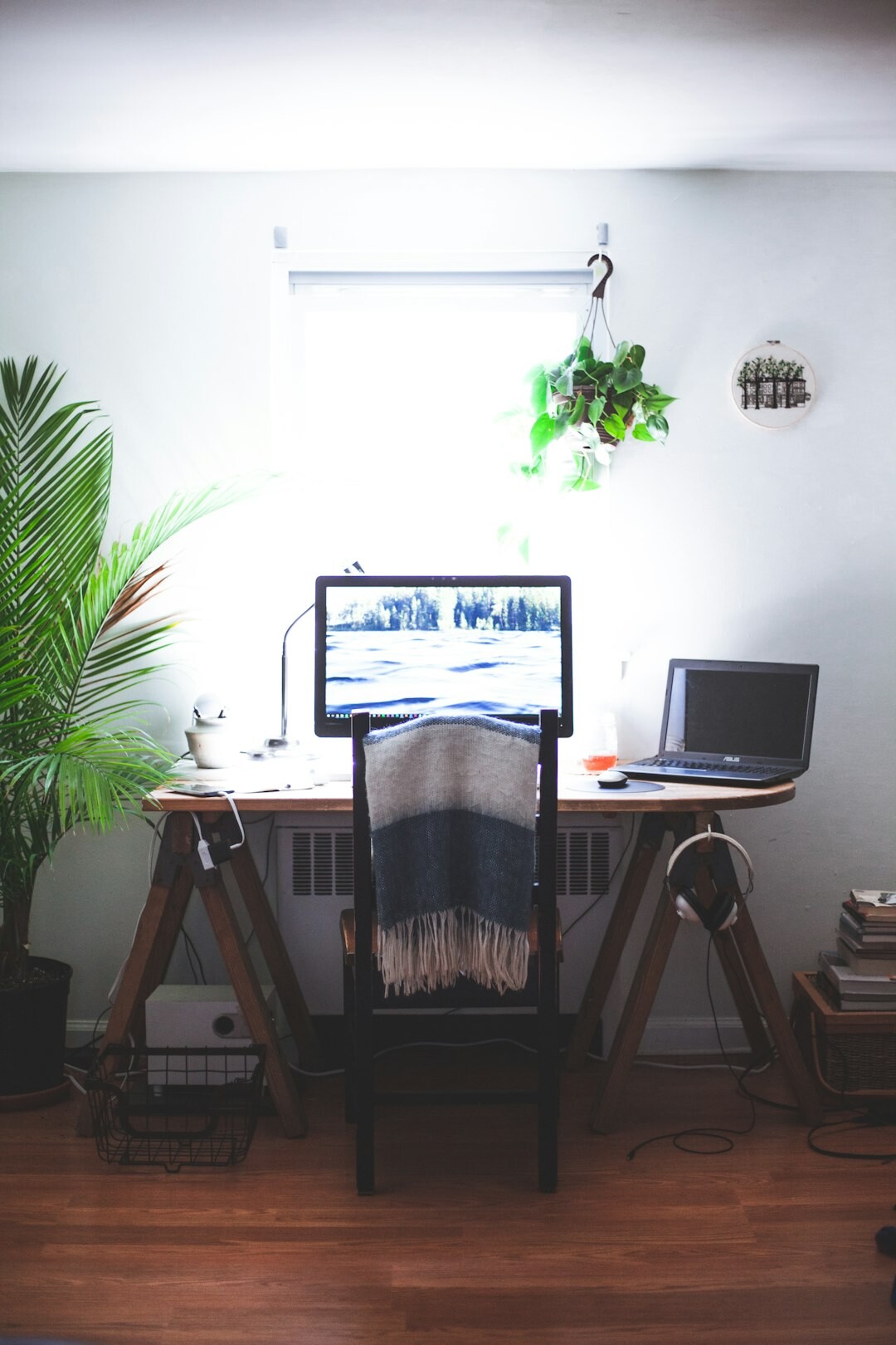 Bright modern office workspace with desk and plants